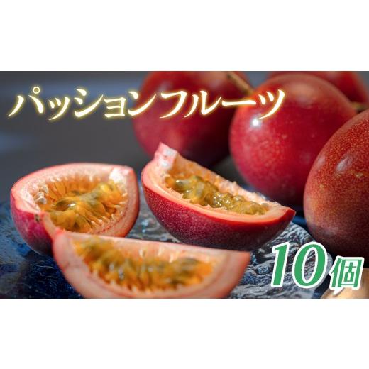 ふるさと納税 果物類 高知県 大月町 パッションフルーツ 10個 栽培期間中農薬不使用 有機肥料 南国フルーツ トロピカルフルーツ 果物 果肉 果実 数量限定 おす…
