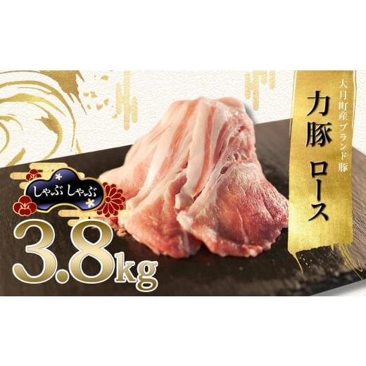 ふるさと納税 豚肉 しゃぶしゃぶ 高知県 大月町 国産 豚肉 ロース しゃぶしゃぶ3.8kg (200g×19P)|力豚 小分け 使いやすい ブランド豚 冷しゃぶサラダ 豚しゃ…
