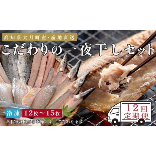 ふるさと納税 旬の鮮魚等 高知県 大月町  12回お届け こだわりの一夜干しセット（12枚~15枚）_1