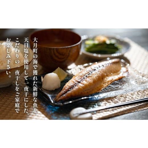 ふるさと納税 旬の鮮魚等 高知県 大月町  12回お届け こだわりの一夜干しセット（12枚~15枚）_2