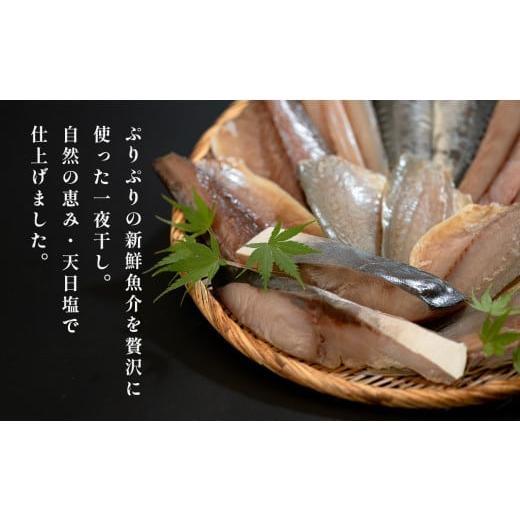 ふるさと納税 旬の鮮魚等 高知県 大月町  12回お届け こだわりの一夜干しセット（12枚~15枚）_3
