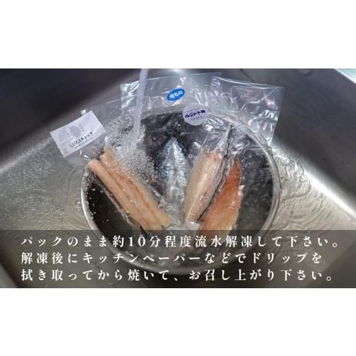 ふるさと納税 旬の鮮魚等 高知県 大月町  12回お届け こだわりの一夜干しセット（12枚~15枚）_6