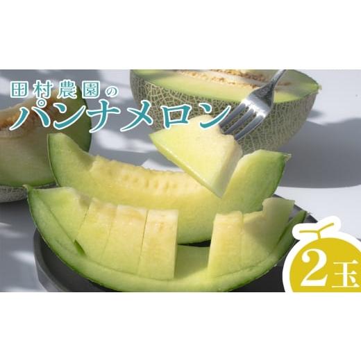 ふるさと納税 メロン メロン青肉 高知県 大月町 パンナメロン 2玉 希少 甘い 芳醇 メロン フルーツ 果物 濃厚 産地直送 数量限定 厳選 ギフト 贈答用 贈り物 …