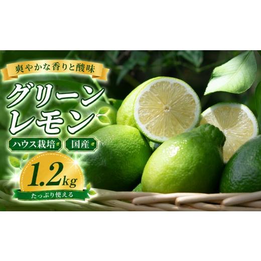 ふるさと納税 みかん・柑橘類 レモン 高知県 大月町 グリーンレモン 1.2kg ハウス栽培 国産 レモン 檸檬 れもん 柑橘 フルーツ 果物 香り 爽やか 果汁 レモン…