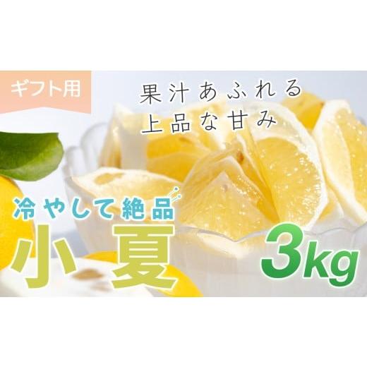 ふるさと納税 みかん・柑橘類 高知県 大月町 小夏 3kg 贈答 ギフト用 日向夏 ニューサマーオレンジ 柑橘 みかん ノーワックス こなつ くだもの 果物 産直 旬の…