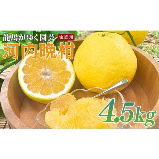 ふるさと納税 みかん・柑橘類 高知県 大月町 河内晩柑 4.5kg (M〜5L) 家庭用 ばんかん 晩柑 バンカン 夏文旦 みかん 蜜柑 柑橘 フルーツ 果物 サイズミック…