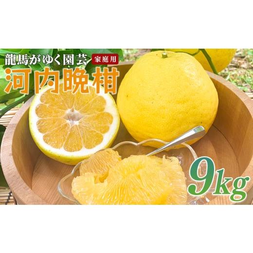 ふるさと納税 みかん・柑橘類 高知県 大月町 河内晩柑 9kg (M〜5L) 家庭用 大容量 ばんかん 晩柑 バンカン 夏文旦 みかん 蜜柑 柑橘 フルーツ 果物 サイズミ…