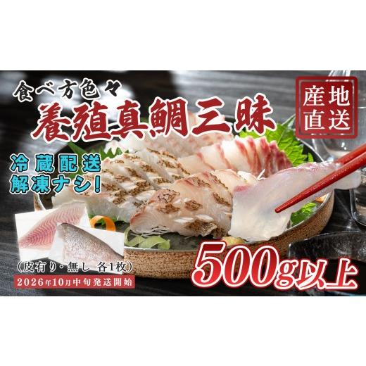 ふるさと納税 魚貝類 鯛 高知県 大月町 先行受付 朝獲れ 真鯛 フィーレ 皮付き 皮なし 500g以上 刺身 冷蔵 養殖 たい タイ マダイ セット 真空パック 産地直…_1