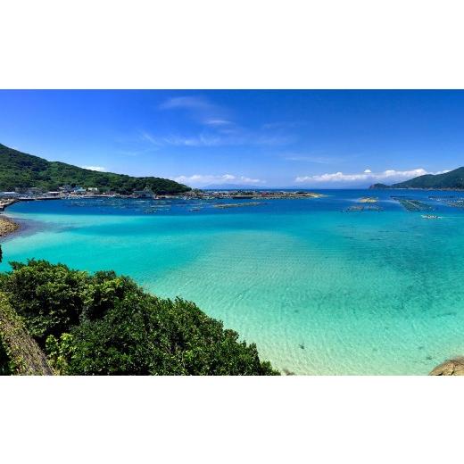 ふるさと納税 魚貝類 鯛 高知県 大月町 先行受付 朝獲れ 真鯛 フィーレ 皮付き 皮なし 500g以上 刺身 冷蔵 養殖 たい タイ マダイ セット 真空パック 産地直…_2