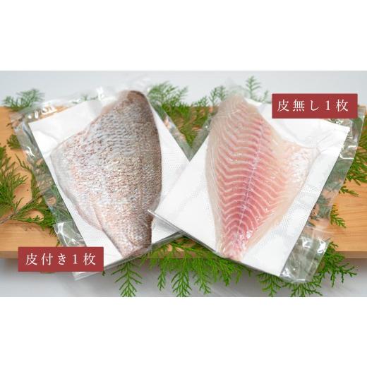 ふるさと納税 魚貝類 鯛 高知県 大月町 先行受付 朝獲れ 真鯛 フィーレ 皮付き 皮なし 500g以上 刺身 冷蔵 養殖 たい タイ マダイ セット 真空パック 産地直…_4
