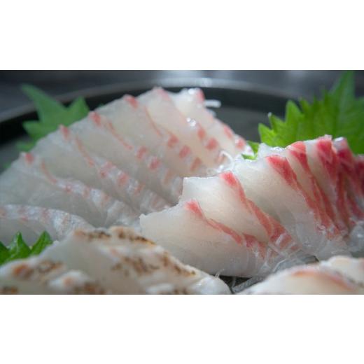 ふるさと納税 魚貝類 鯛 高知県 大月町 先行受付 朝獲れ 真鯛 フィーレ 皮付き 皮なし 500g以上 刺身 冷蔵 養殖 たい タイ マダイ セット 真空パック 産地直…_6