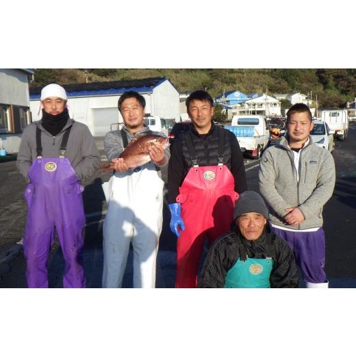 ふるさと納税 魚貝類 鯛 高知県 大月町 先行受付 朝獲れ 真鯛 フィーレ 皮付き 皮なし 500g以上 刺身 冷蔵 養殖 たい タイ マダイ セット 真空パック 産地直…_8