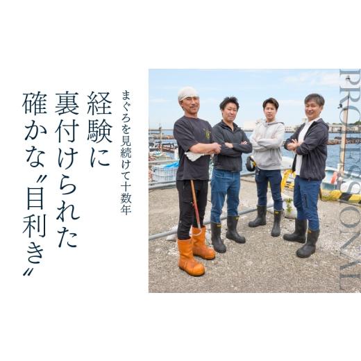 ふるさと納税 マグロ 神奈川県 三浦市 三崎まぐろ 2度おいしい まぐろ2色丼セット 600g（各100g×3P） 9月お届け 　M020-018-09 9月お届け_3