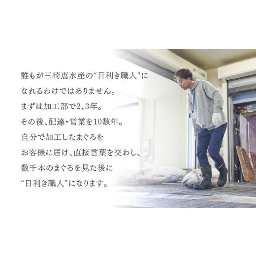 ふるさと納税 マグロ 神奈川県 三浦市 三崎まぐろ 2度おいしい まぐろ2色丼セット 600g（各100g×3P） 9月お届け 　M020-018-09 9月お届け_4