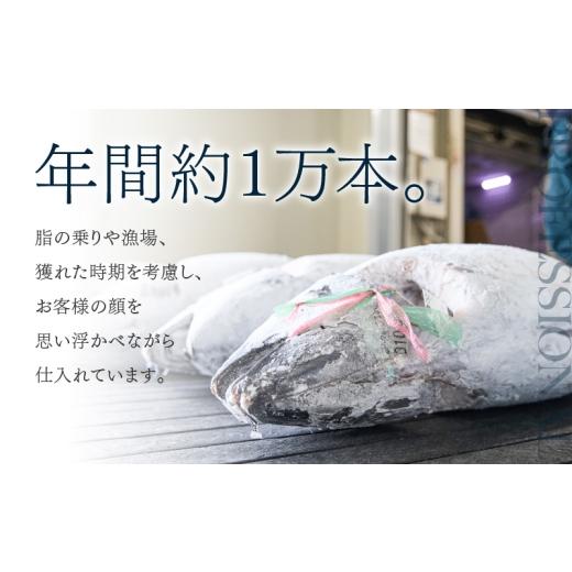 ふるさと納税 マグロ 神奈川県 三浦市 三崎まぐろ 2度おいしい まぐろ2色丼セット 600g（各100g×3P） 9月お届け 　M020-018-09 9月お届け_5