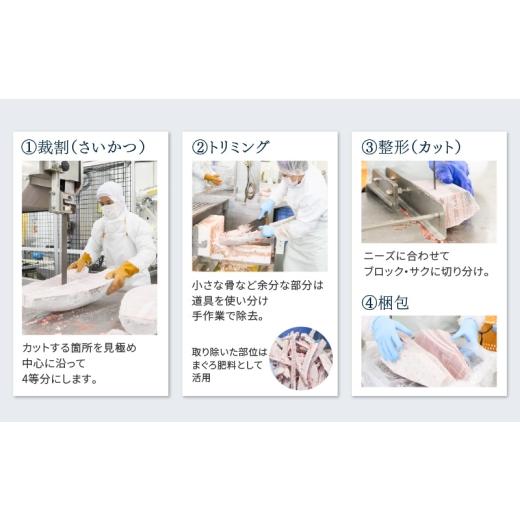 ふるさと納税 マグロ 神奈川県 三浦市 三崎まぐろ 2度おいしい まぐろ2色丼セット 600g（各100g×3P） 9月お届け 　M020-018-09 9月お届け_7