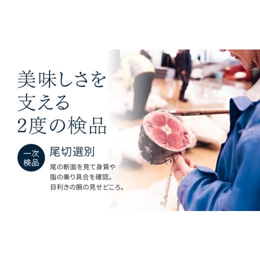 ふるさと納税 マグロ 神奈川県 三浦市 三崎まぐろ 2度おいしい まぐろ2色丼セット 600g（各100g×3P） 9月お届け 　M020-018-09 9月お届け_8