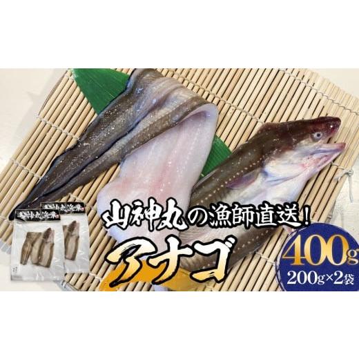 ふるさと納税 魚貝類 穴子 宮城県 石巻市 アナゴ 2パック 穴子 あなご 魚介 魚介類 海鮮 下処理済 直送 新鮮 冷凍 焼き物 煮付け フライ