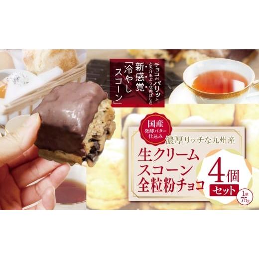 ふるさと納税 焼菓子・チョコレート 大分県 中津市 国産発酵バター香る濃厚リッチな九州産生クリームスコーン 全粒粉チョコ4個セット | お菓子 菓子 おかし 洋…