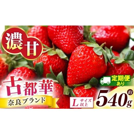 ふるさと納税 いちご 奈良県 五條市 定期便 2回 古都華 約540g (270g×2P)Lサイズ以上 | フルーツ くだもの 果物 いちご イチゴ ことか コトカ 古都華 苺 …