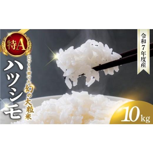 ふるさと納税 米 岐阜県 大垣市 新米 令和7年度産 お米 ハツシモ 5kg 3回 定期便 計15kg 〜水の都大垣の豊富な湧き水で育ったお米 〜 新米 ごはん 白米 精米 …