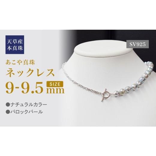 ふるさと納税 アクセサリー ネックレス 熊本県 天草市 S101-441_あこや 
