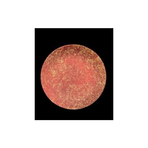 ふるさと納税 陶磁器・漆器・ガラス 和歌山県 海南市 フラットプレート(D) 乱糸(マット仕上げ)赤溜 赤溜