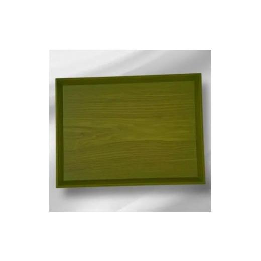 ふるさと納税 陶磁器・漆器・ガラス 和歌山県 海南市 長手トレイ 若草色 若草色