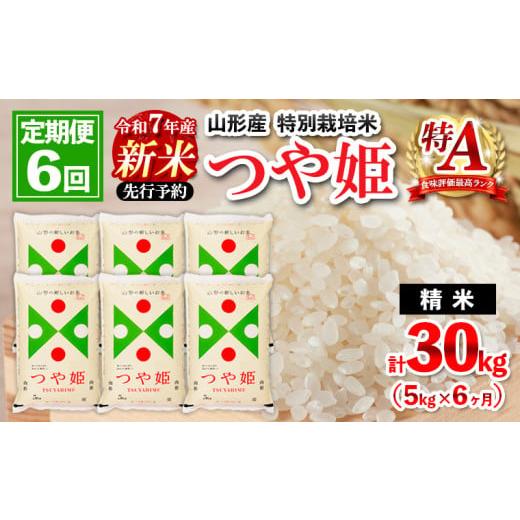 ふるさと納税 米 つや姫 山形県 山形市 1月発送開始 定期便6回 先行予約 令和7年産 新米 山形産 特別栽培米 つや姫 5kg×6ケ月(計30kg) FZ25-090 1月発送開始