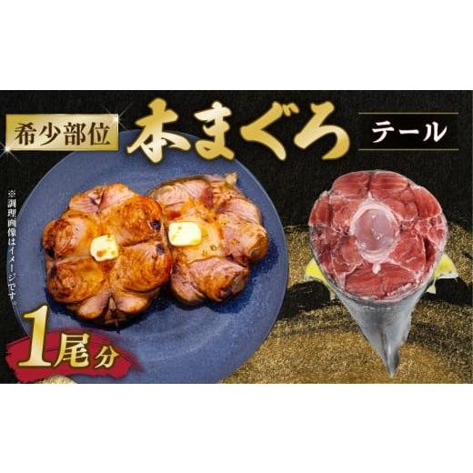 ふるさと納税 マグロ 三重県 南伊勢町 本鮪 希少部位 テール 1尾分 数量限定 本マグロ 本まぐろ 鮪 まぐろ マグロ クロマグロ 伊勢志摩 まぐろ食堂 専門店 ス…