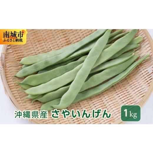 ふるさと納税 野菜類 沖縄県 南城市 先行予約 サヤインゲン(ビックリジャンボ)1kg 1kg