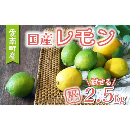 ふるさと納税 みかん・柑橘類 レモン 愛媛県 愛南町 数量限定 先行予約 訳あり レモン 2.5kg 6000円 柑橘 檸檬 国産 れもん フルーツ 果物 果実 産地直送 農家…