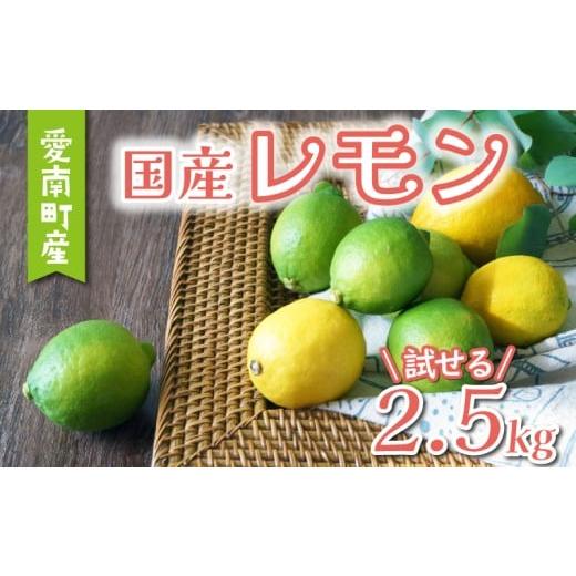 ふるさと納税 みかん・柑橘類 レモン 愛媛県 愛南町 数量限定 先行予約 レモン 2.5kg 7000円 柑橘 檸檬 国産 れもん フルーツ 果物 果実 産地直送 農家直送 数…