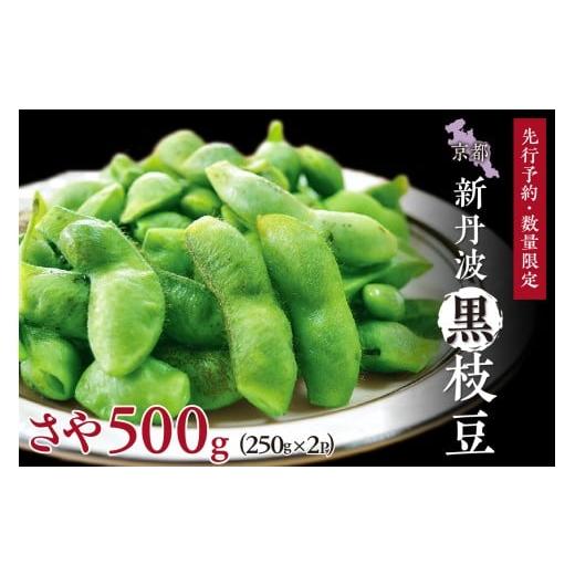 ふるさと納税 豆類 枝豆 京都府 京丹後市 先行予約/数量限定40 新丹波黒枝豆さや 500g(250g×2パック)(2026年10月中旬〜発送)