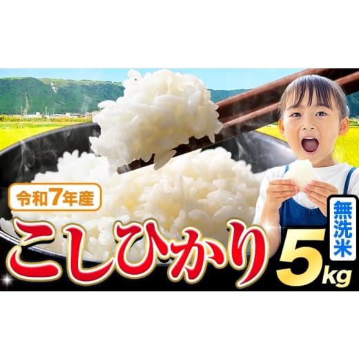 ふるさと納税 米 コシヒカリ 熊本県 苓北町 令和7年産 無洗米 こしひかり 5kg[7-14日以内に出荷予定(土日祝を除く)]熊本県産 ふるさと納税 無洗米 無洗米 精…