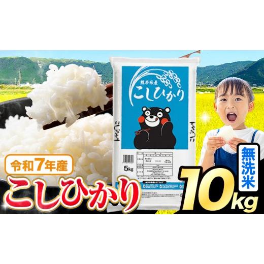 ふるさと納税 米 コシヒカリ 熊本県 苓北町 令和7年産 無洗米 こしひかり 10kg5kg×2袋[7-14日以内に出荷予定(土日祝を除く)] 熊本県産 ふるさと納税 無洗米…