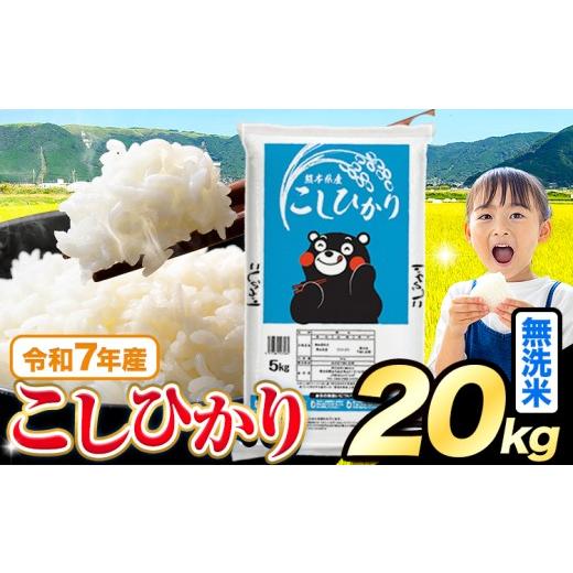 ふるさと納税 米 コシヒカリ 熊本県 苓北町 令和7年産 無洗米 こしひかり 20kg5kg×4袋 [7-14日以内に出荷予定(土日祝を除く)]熊本県産 ふるさと納税 無洗米…