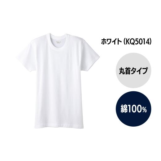 ふるさと納税 服 男 秋田県 由利本荘市 GUNZE 快適工房 半袖丸首 ホワイト（KQ5014）LLサイズ 5枚 肌着 メンズ 男性用 GUNZE グンゼ 肌着 半袖 半袖丸首 快適…_2