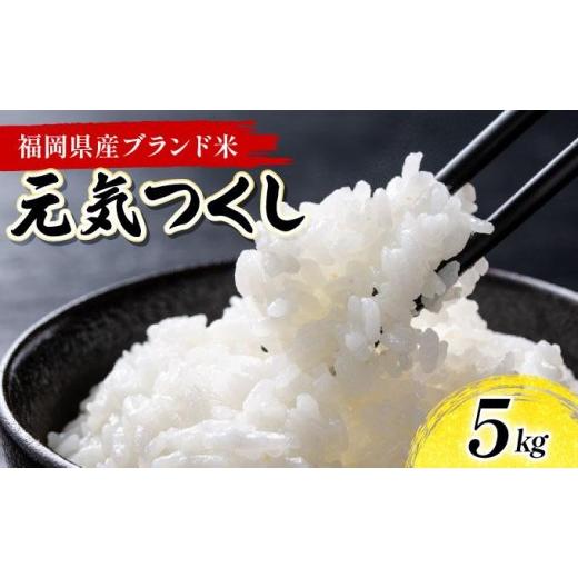 ふるさと納税 米 福岡県 大木町 [20営業日内発送]福岡県産米 元気つくし 5kg 精米 令和6年産 精米 6年産 国産 福岡県産 お米 ブランド米 5kg げんきつくし …