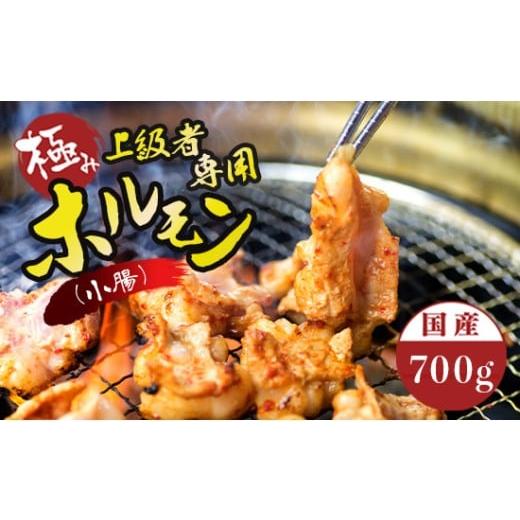 ふるさと納税 牛肉 ホルモン 京都府 舞鶴市 国産 牛 極上 上級者専用 ホルモン ( 小腸 ) 700g 附属タレ付き | 冷蔵 もつ鍋 タレ揉み 中元 ギフト お祝い ホル…