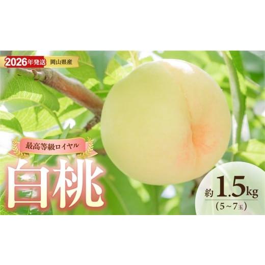 ふるさと納税 もも 岡山県 備前市 2026年発送 岡山県産白桃(ロイヤル)約1.5kg(令和8年6月中旬〜8月上旬発送) 白桃 もも フルーツ モモ ロイヤル 糖度最上…