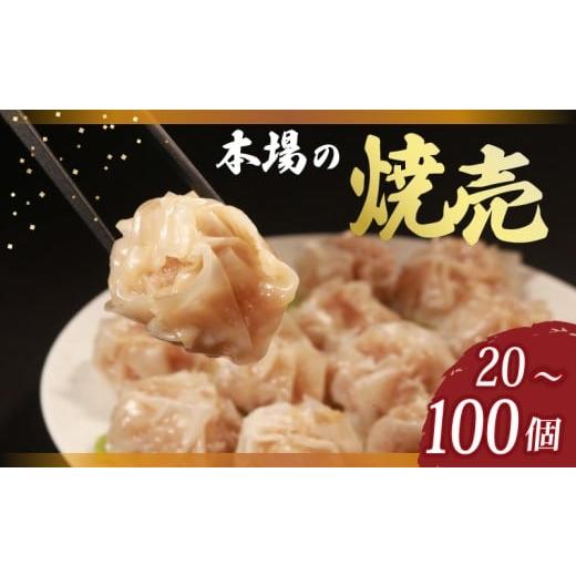 ふるさと納税 加工品等 大阪府 松原市 ＼TVで多数紹介 / 肉汁たっぷり 焼売 65個 小分け 冷凍 お弁当 おかず しゅうまい シュウマイ 晩ごはん 夕ご飯 おつま…