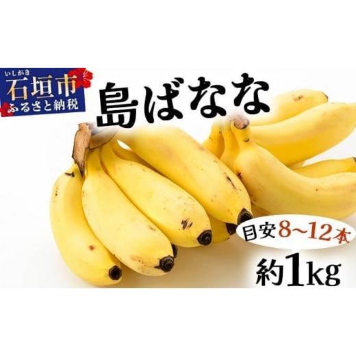 ふるさと納税 果物類 沖縄県 石垣市 先行予約 2026年5〜10月順次発送 バナナ好きに届けたい 完全無農薬栽培 もっちり食感がやみつきの希少な国産『プレミアム…