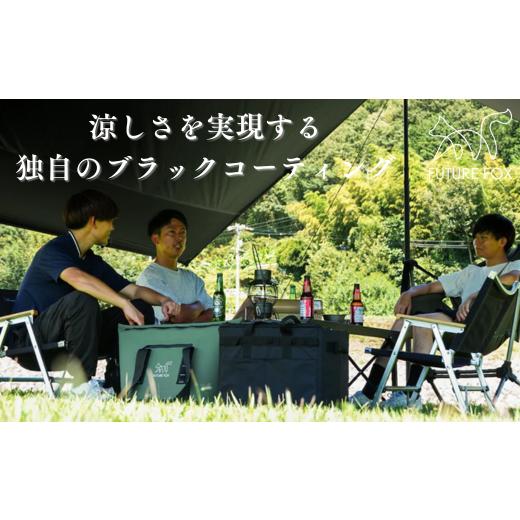 ふるさと納税 アウトドアグッズ 長野県 松川町 FUTURE FOX ポリエステルタープ［FF20］ ／／ FUTURE FOX ポリエステル スクエアタープ 4m×4m ブラックコーテ…の画像