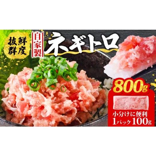 ふるさと納税 マグロ 愛媛県 松山市 1週間程度で発送 ネギトロ 800g ( 100g×8パック ) 1週間程度で発送
