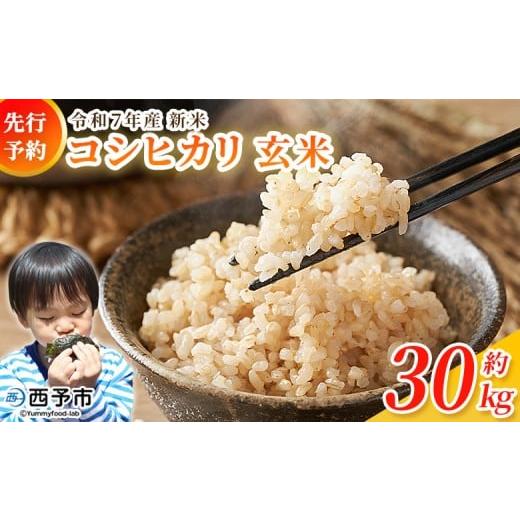 ふるさと納税 玄米 愛媛県 西予市 新米 令和7年産 コシヒカリ 玄米 30kg 国産 R7 米 宇和米 げんまい お米 銘柄米 30キロ こしひかり 西予市産 宇和町産 産地…