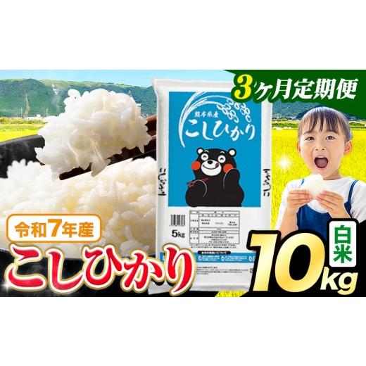 ふるさと納税 米 コシヒカリ 熊本県 苓北町  3ヶ月定期便 令和7年産 白米 こしひかり 10kg(5kg×2袋)《お申込み翌月出荷》熊本県産 ふるさと納税 白米 精米 ひ…の画像