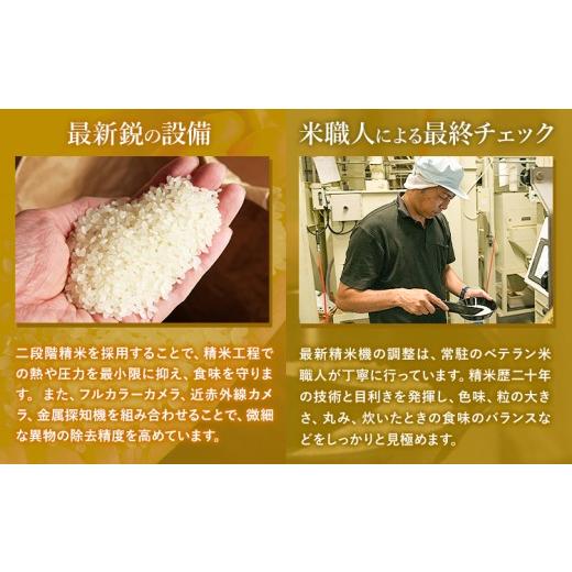 ふるさと納税 米 コシヒカリ 熊本県 苓北町  3ヶ月定期便 令和7年産 白米 こしひかり 10kg(5kg×2袋)《お申込み翌月出荷》熊本県産 ふるさと納税 白米 精米 ひ…の画像