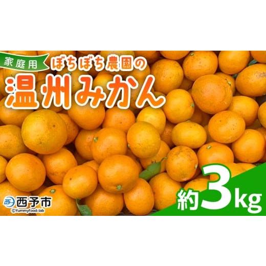 ふるさと納税 果物類 みかん 愛媛県 西予市 ぼちぼち農園の温州みかん 家庭用 3kg 3キロ うんしゅうみかん 温州ミカン 訳あり わけあり ワケアリ 果物 みかん…