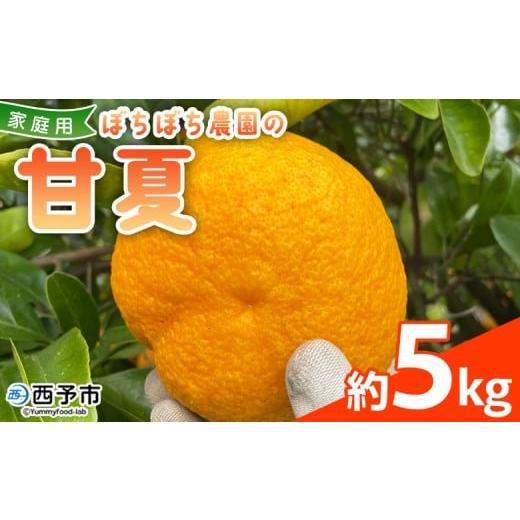 ふるさと納税 果物類 みかん 愛媛県 西予市 ぼちぼち農園の甘夏 家庭用 約5kg 5キロ あまなつ アマナツ 訳あり わけあり ワケアリ 果物 みかん ミカン 柑橘 …